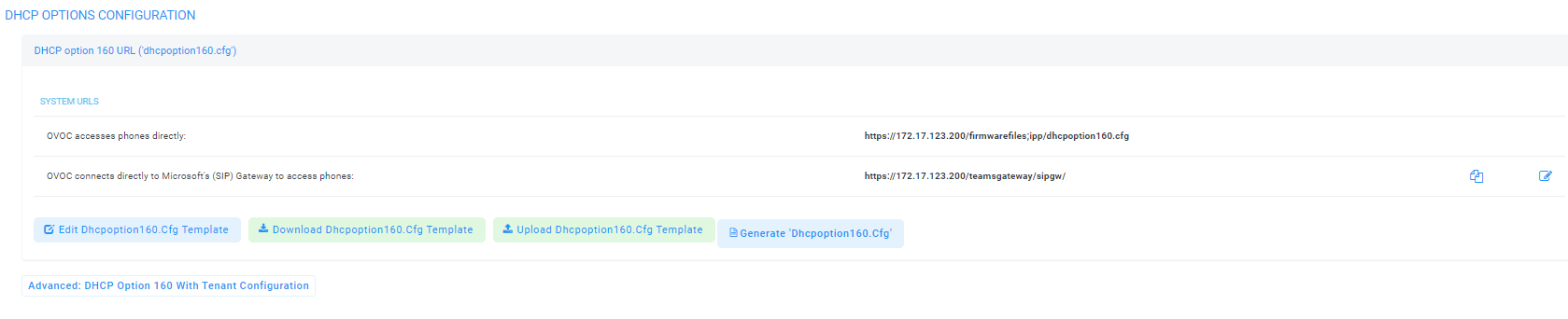 Configuring DHCP Option 160 with a Tenant URL