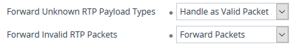 Forward Invalid Packets